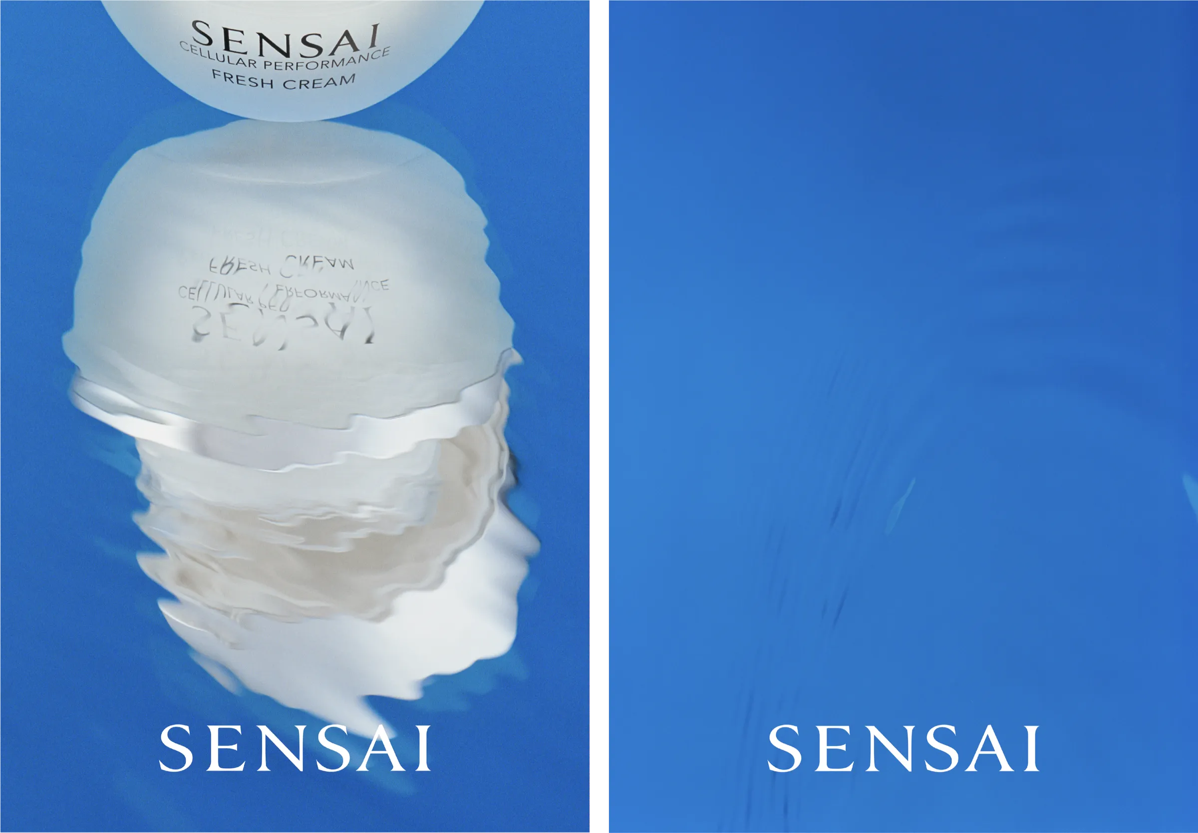 SENSAI seasonal 02