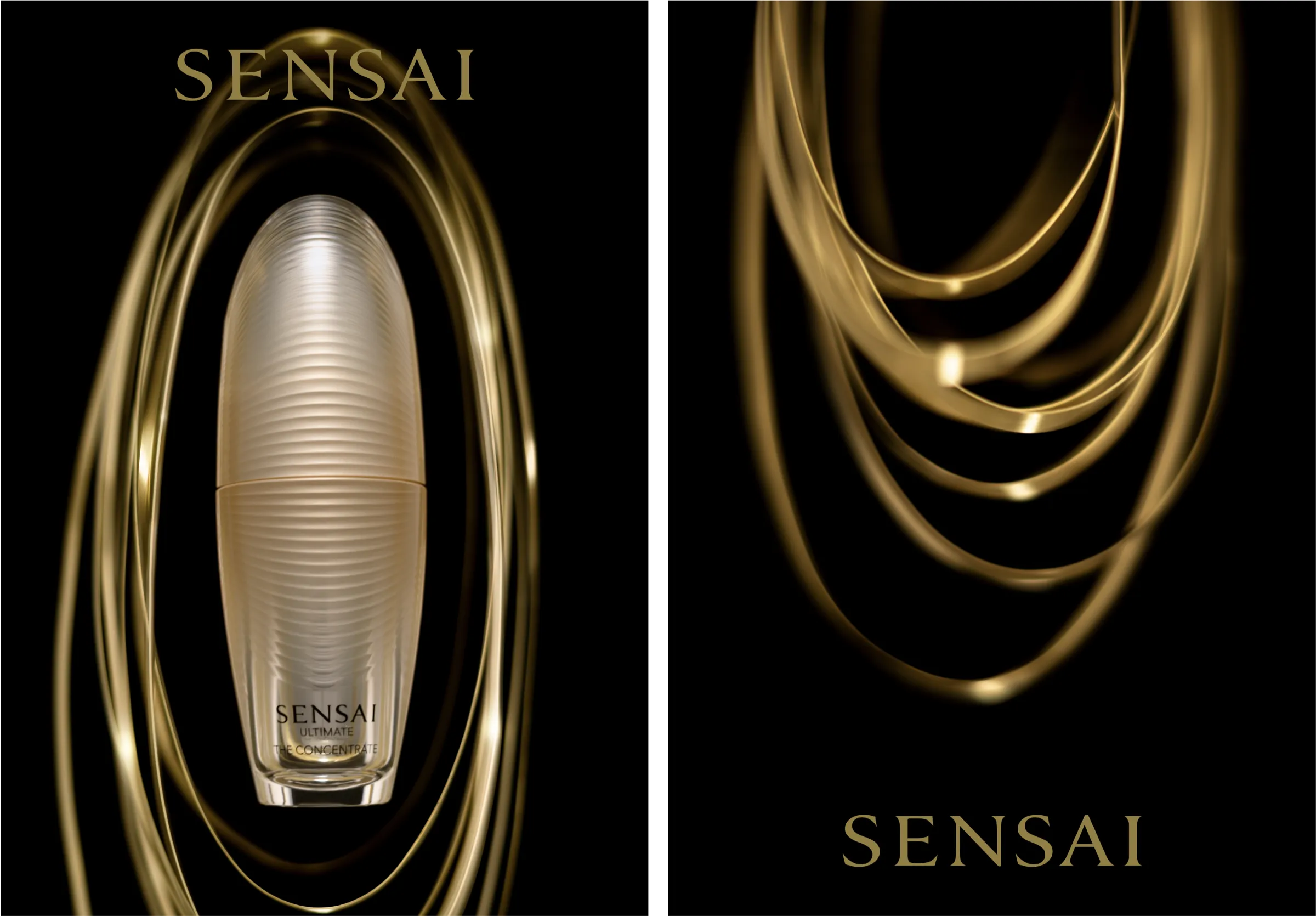 SENSAI seasonal 03