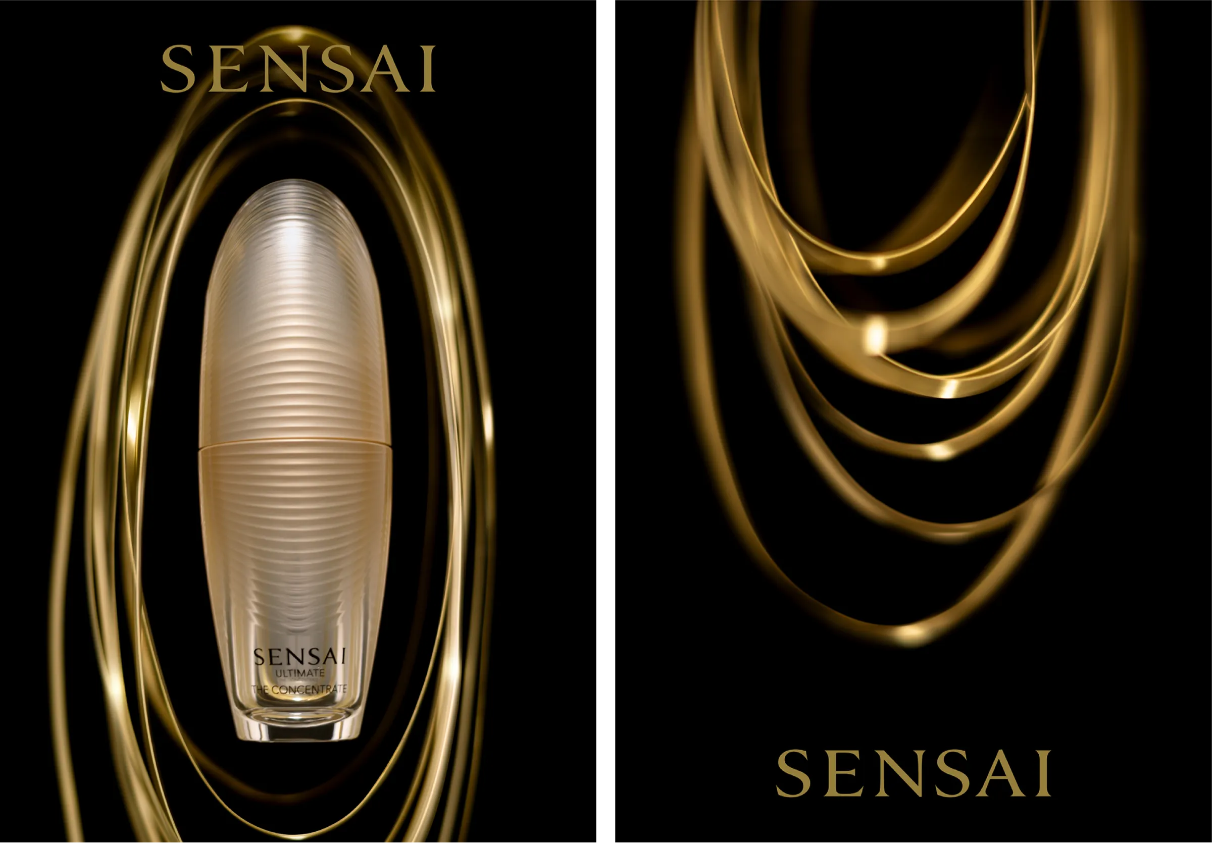SENSAI sculpt visual 11