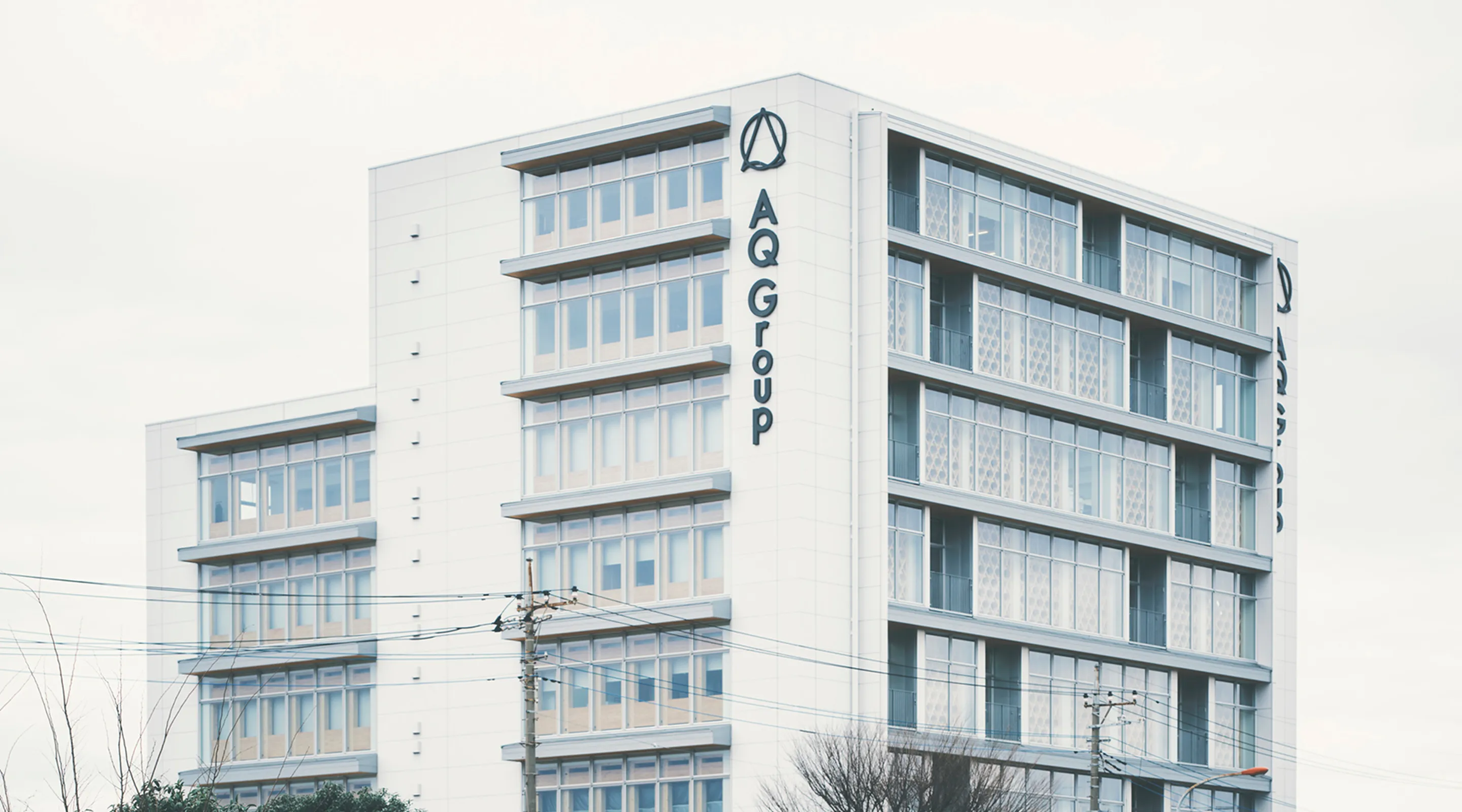 Visual Identity